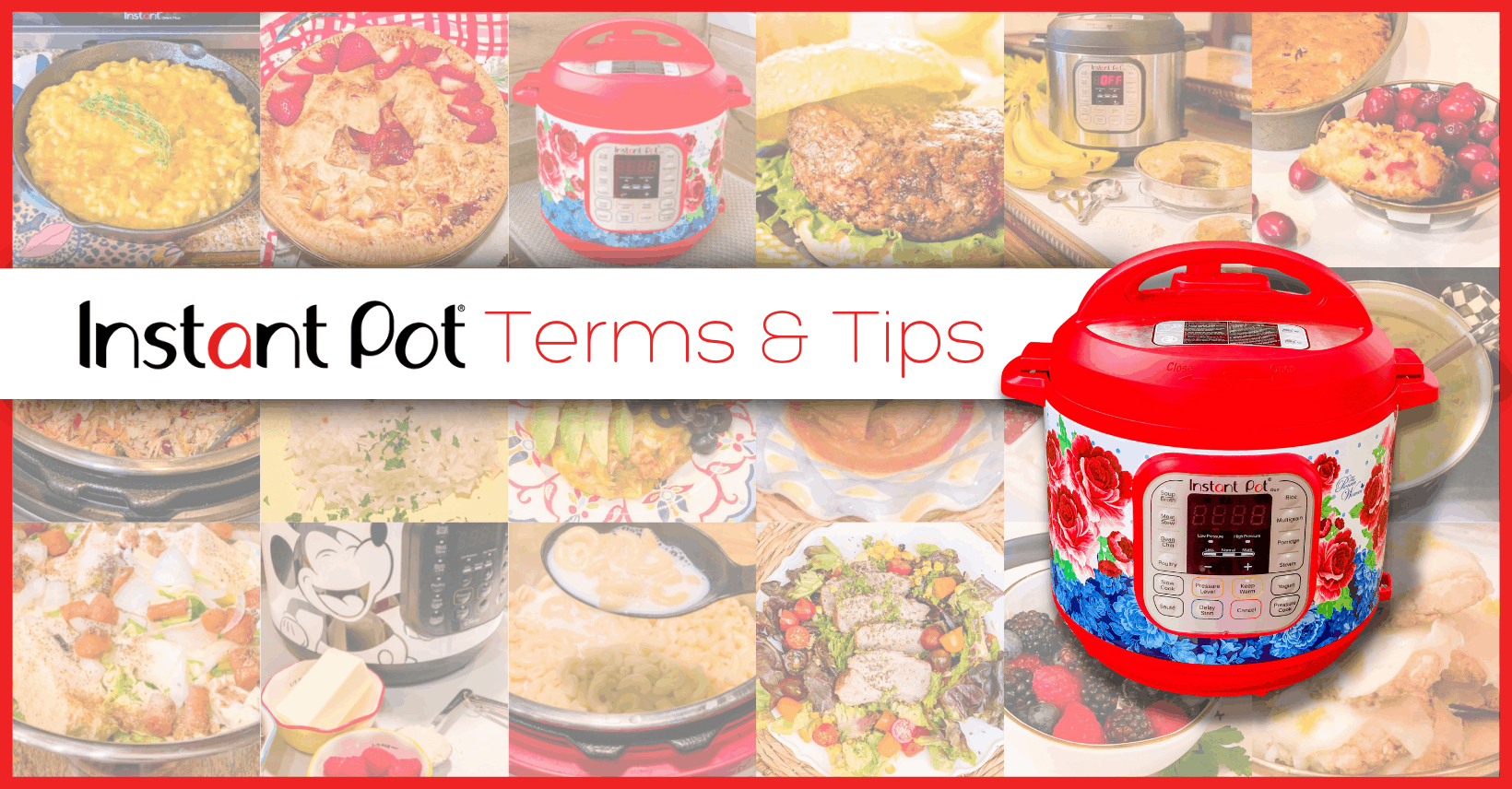 Instant Pot For Beginners Terms & Tips The Soul Food Pot