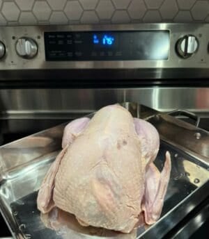 Raw whole turkey in roasting pan
