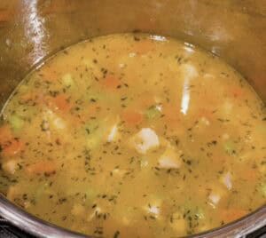 Seasoned chicken broth before adding dumplings