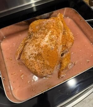 Seasoned turkey with roasting base